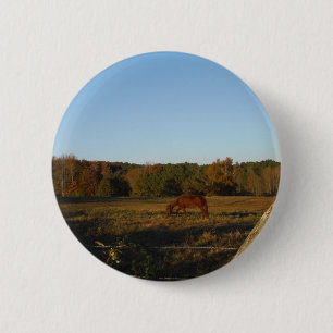 Bruin paard in de zon ronde button 5,7 cm