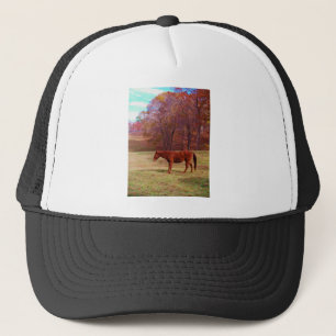 Bruin paard in een grasveld trucker pet