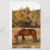 Bruin paard in geel boomveld briefpapier (Voorkant / Achterkant)