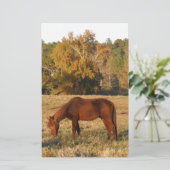 Bruin paard in geel boomveld briefpapier (Staand voorkant)