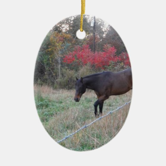 Bruin paard in rode herfstbomen keramisch ornament (Voorkant)