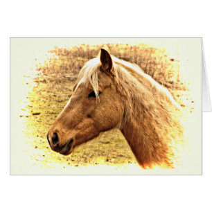 Bruin paard in zonnige blanco kaart