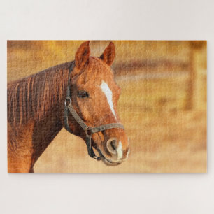 Bruin paard legpuzzel