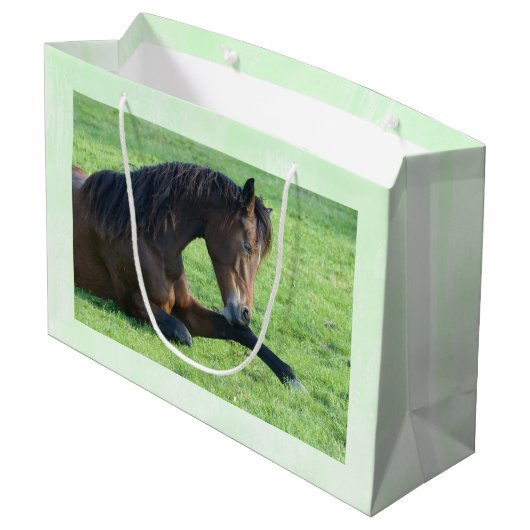 bruin paard lekt in gras groot cadeauzakje (Achterkant Gekanteld)