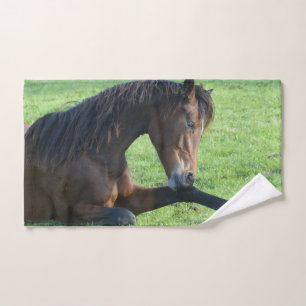  bruin paard lekt in gras handdoek