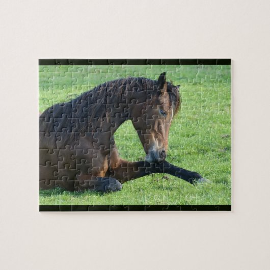  bruin paard lekt in gras legpuzzel (Horizontaal)