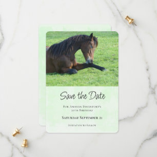 bruin paard lekt in gras save the date