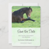 bruin paard lekt in gras save the date (Voorkant)