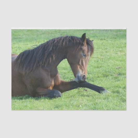  bruin paard lekt in gras tissuepapier (Voorkant)