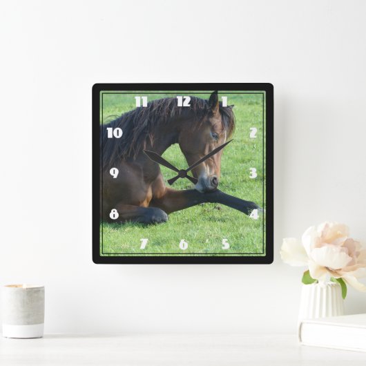 bruin paard lekt in gras vierkante klok (Huis)