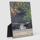 Bruin paard loopt door het hek fotoplaat (Zijkant)