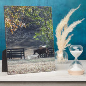 Bruin paard loopt door het hek fotoplaat (Zijkant)