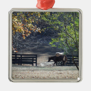 Bruin paard loopt door het hek metalen ornament