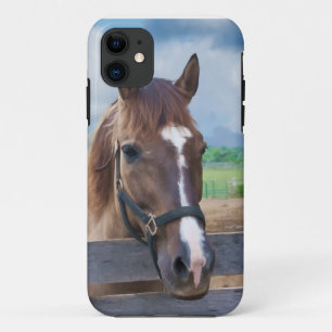 Bruin paard met Halter iPhone 11 Hoesje