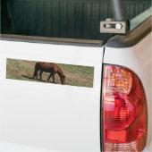 Bruin paard met herfst bumpersticker (Op Truck)
