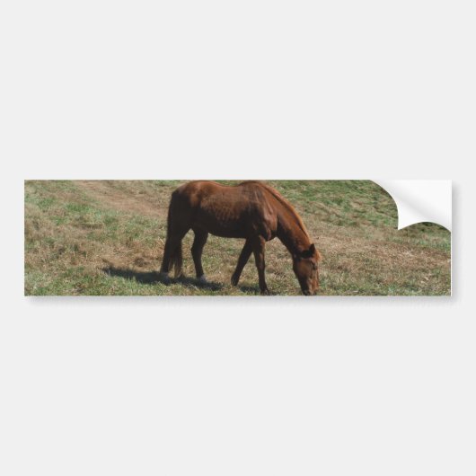 Bruin paard met herfst bumpersticker (Voorkant)