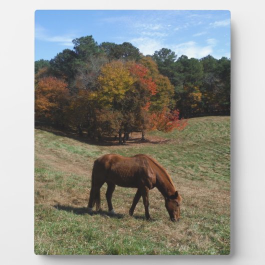 Bruin paard met herfst fotoplaat (Voorkant)