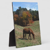 Bruin paard met herfst fotoplaat (Zijkant)