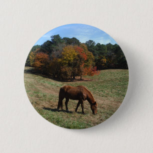 Bruin paard met herfst ronde button 5,7 cm