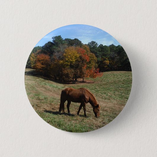 Bruin paard met herfst ronde button 5,7 cm (Voorkant)