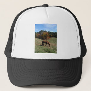 Bruin paard met herfst trucker pet
