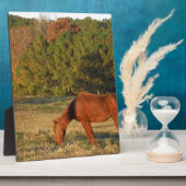 Bruin paard met pijnbomen fotoplaat (Zijkant)