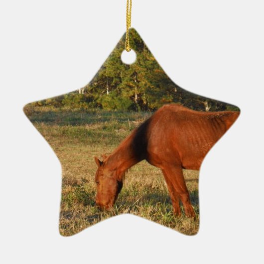 Bruin paard met pijnbomen keramisch ornament (Voorkant)