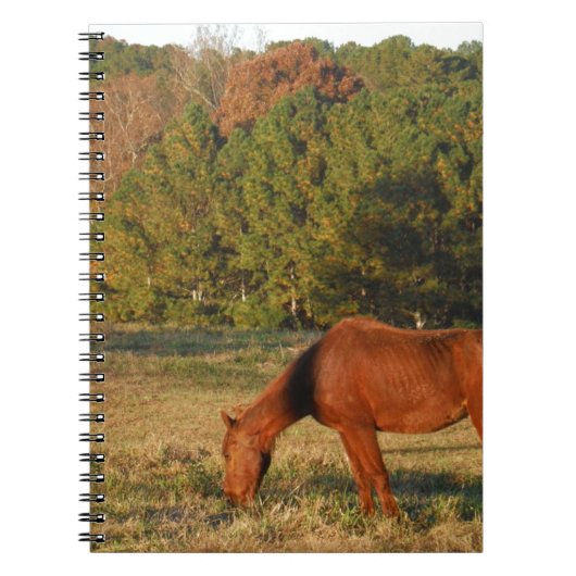 Bruin paard met pijnbomen notitieboek (Voorkant)