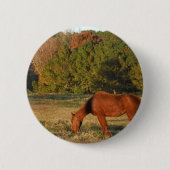 Bruin paard met pijnbomen ronde button 5,7 cm (Voorkant)
