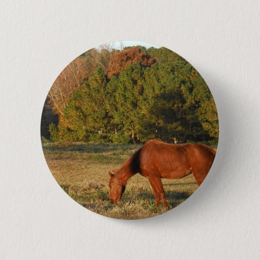 Bruin paard met pijnbomen ronde button 5,7 cm (Voorkant)