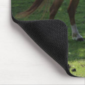 Bruin paard mousepad muismat (Hoek)