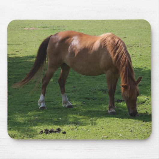 Bruin paard mousepad muismat (Voorkant)