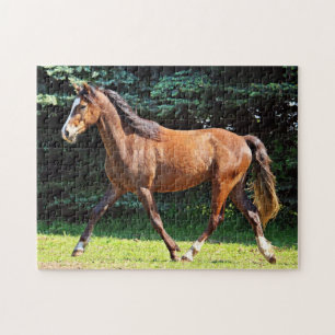 Bruin paard onderweg legpuzzel