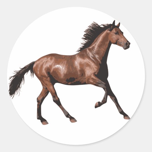 Bruin paard ronde sticker (Voorkant)