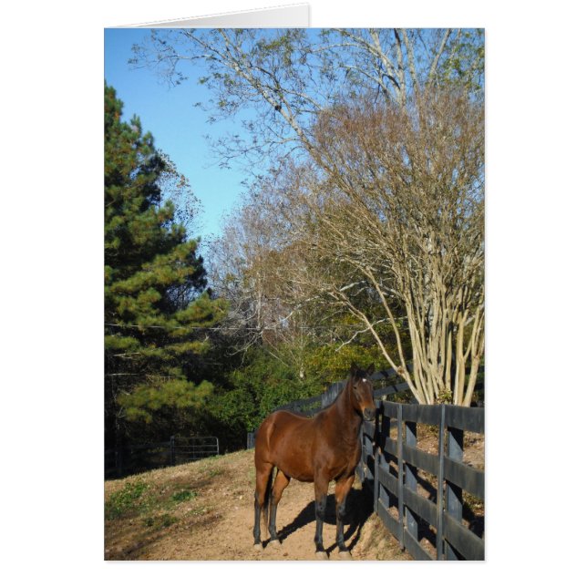 Bruin paard tegen een hek (Voorkant)