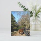 Bruin paard tegen een hek briefkaart (Staand voorkant)