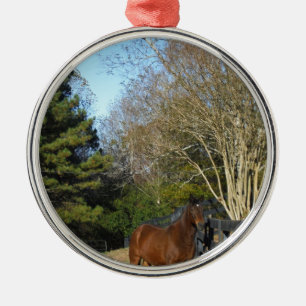 Bruin paard tegen een hek metalen ornament