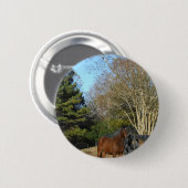 Bruin paard tegen een hek ronde button 5,7 cm (Voorkant /achterkant)