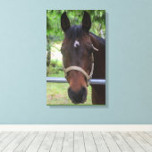 Bruin Paard Verpakt Canvas (Insitu (Houten vloer))