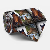 Bruin Paarden Foto-collage Stropdas (Opgerold)
