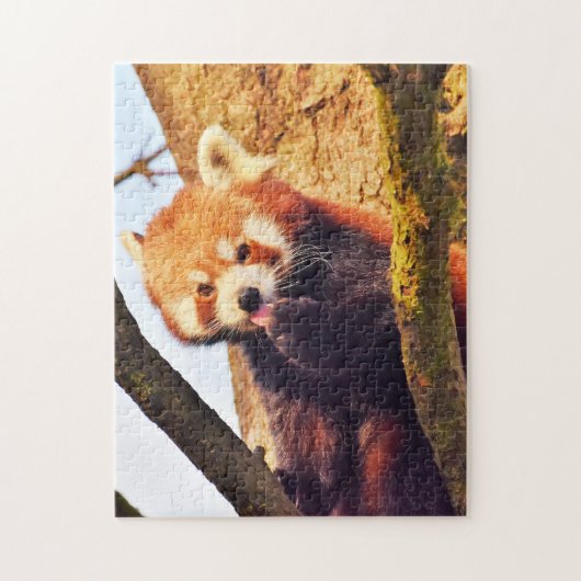 Bruin Panda-Beren. Legpuzzel (Verticaal)