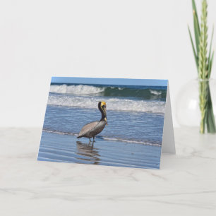 Bruin Pelican op het strand in Florida Kaart