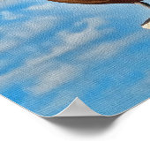 Bruin Pelican op Poster of druk (Hoek)