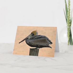Bruin Pelican Resting on Piling Canvas Print Kaart