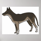 Bruin Poster (Voorkant)