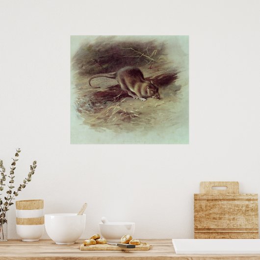 Bruin Rat 1918 Poster (Keuken)