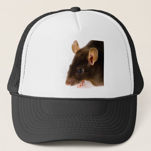 Bruin Rat Trucker Pet (Voorkant)