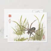 Bruin recluse spin op wit briefkaart (Voorkant / Achterkant)