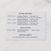 Bruin Stripe Blue RESUME Visitekaartjes (Achterkant)