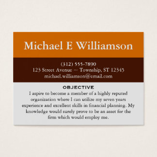 Bruin Stripe Sinaasappel RESUME Visitekaartjes